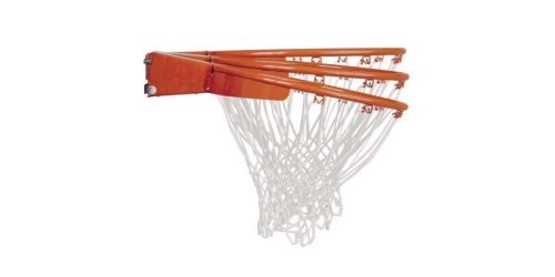 Panier de basket pro spécial dunk