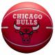 Balle Rebondissante NBA Chicago Bulls Wilson