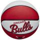 Ballon de Basket Taille 3 NBA Retro Mini Chicago Bulls