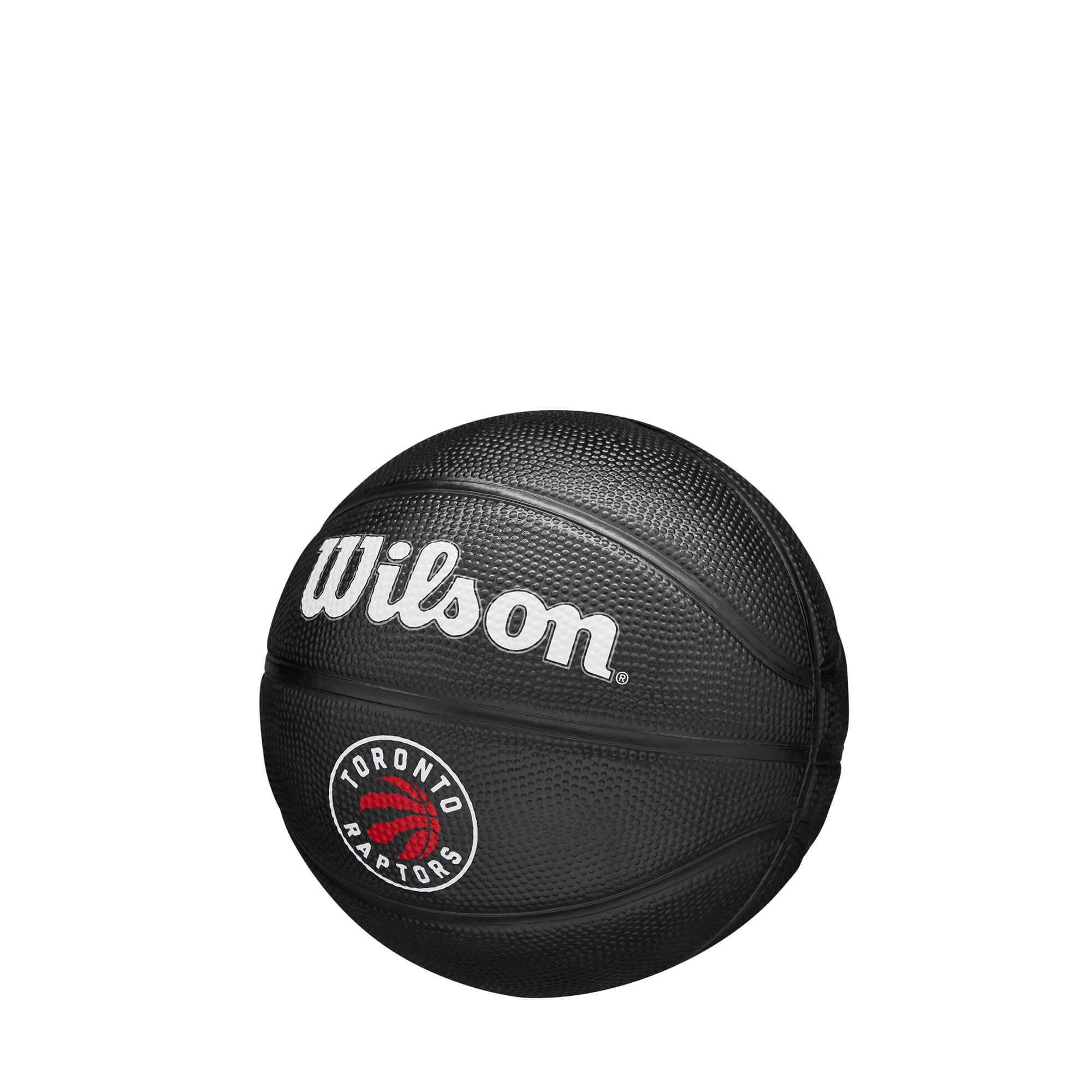 Ballons de basket NBA Tribute Mini Toronto Raptors