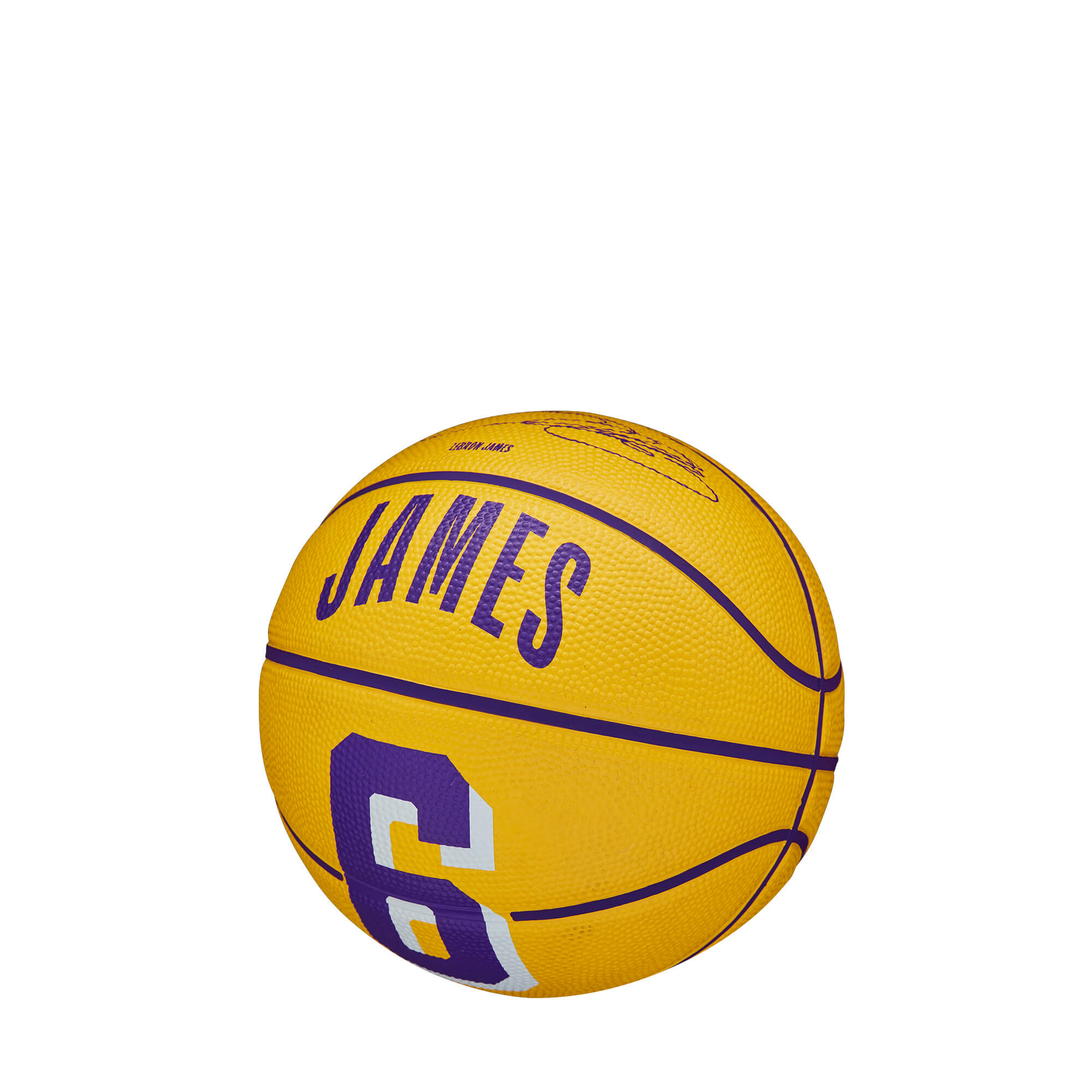 Ballons de basket NBA Player Mini Lebron James