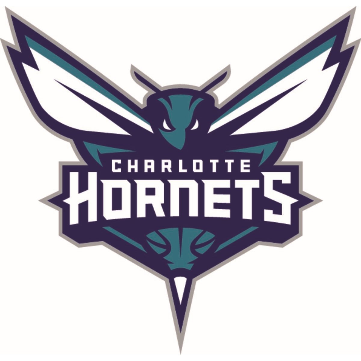 Ballons de basket NBA Team Tribute Charlotte Hornets