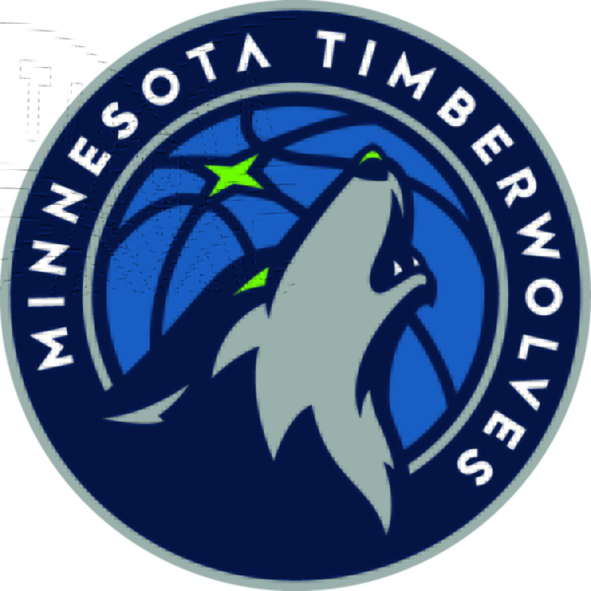 Ballons de basket NBA Team Tribute Minnesota Timberwolves